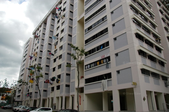 Blk 120 Pending Road (Bukit Panjang), HDB 5 Rooms #217332